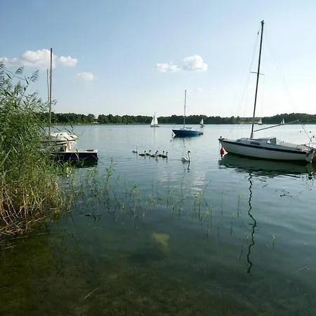 Noclegi Pod Modrzewiem Powidz  Exterior foto