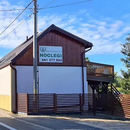 Noclegi Pod Modrzewiem Powidz  Exterior foto