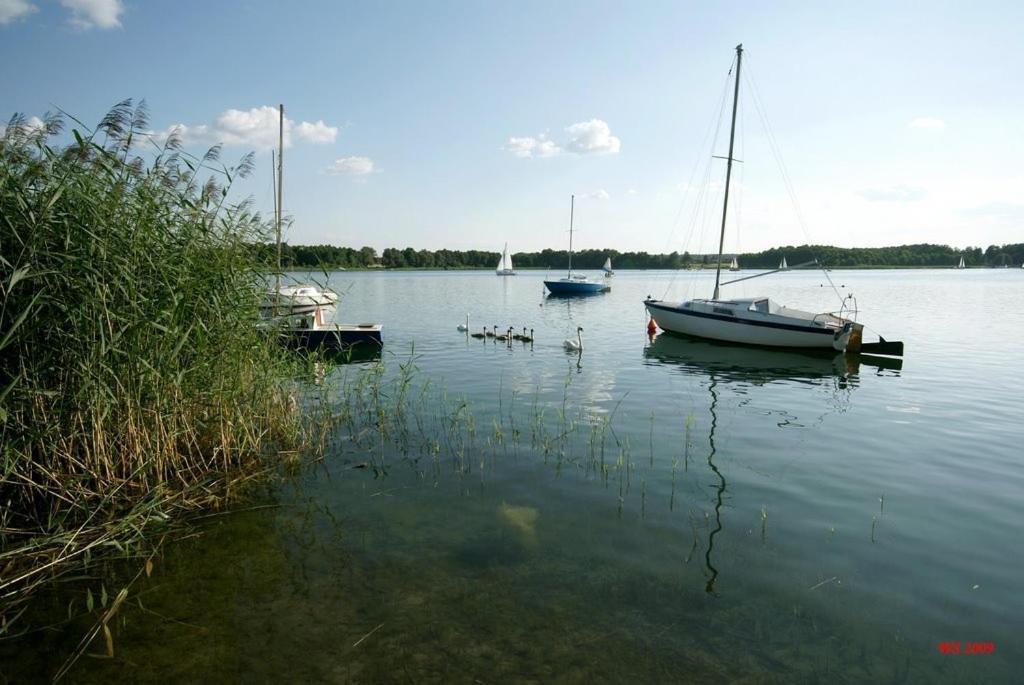 Pod Modrzewiem Powidz (Slupca)