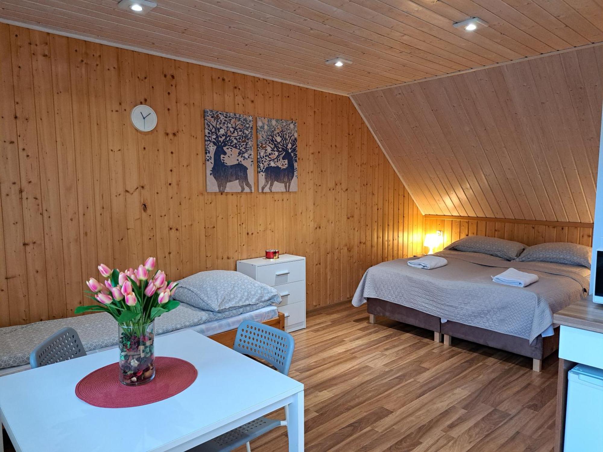 Pod Modrzewiem Apartment Powidz (Slupca)