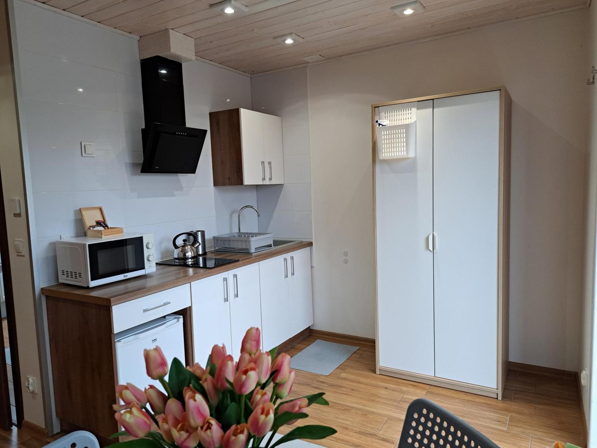 Apartment Pod Modrzewiem *